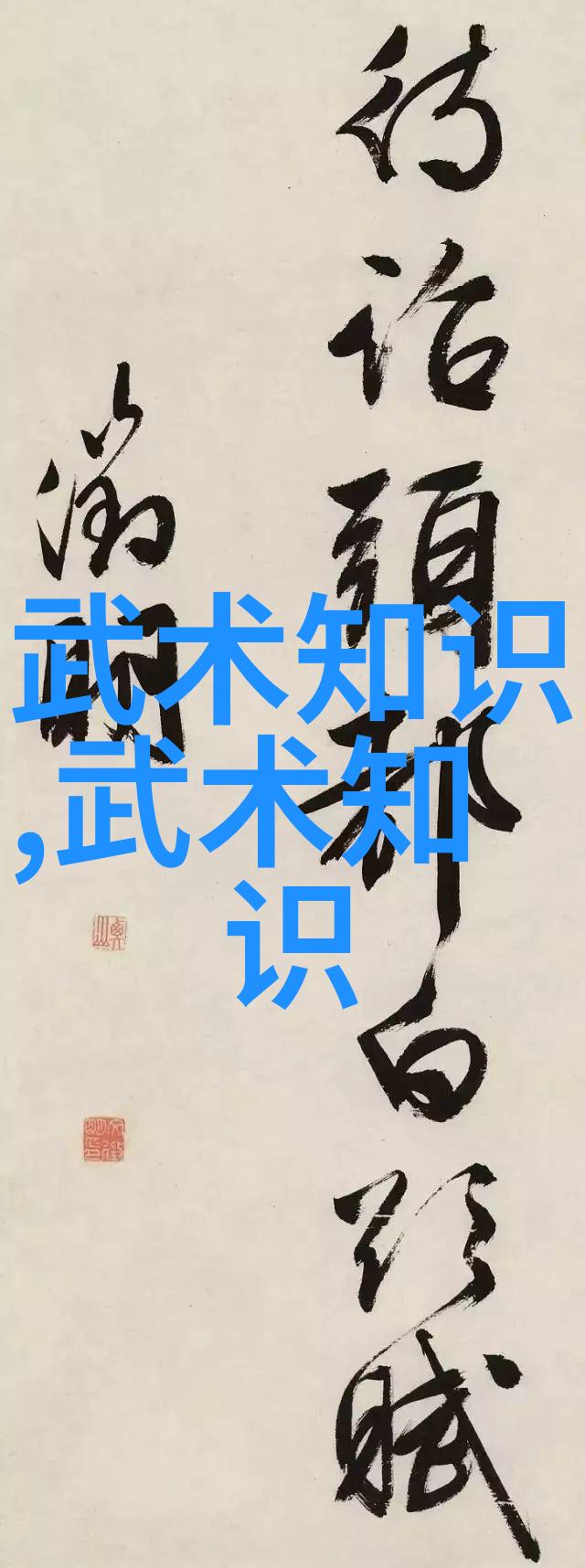 武术是完善自我的技术-雷生霖