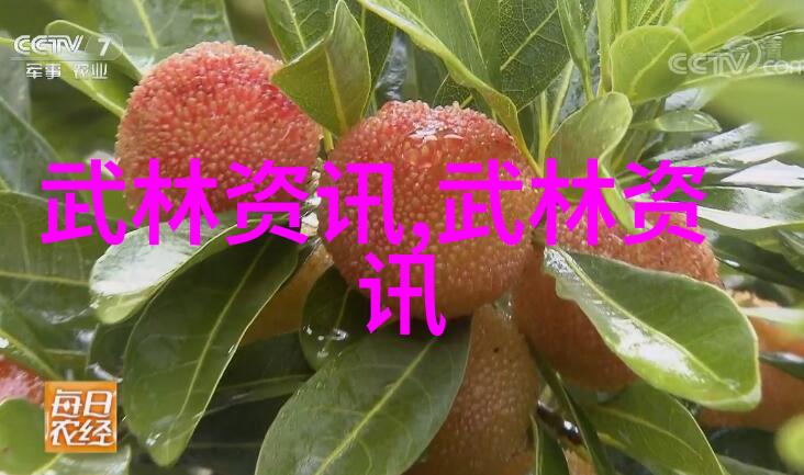 上海地区一校一拳武术教改展演在上体举行