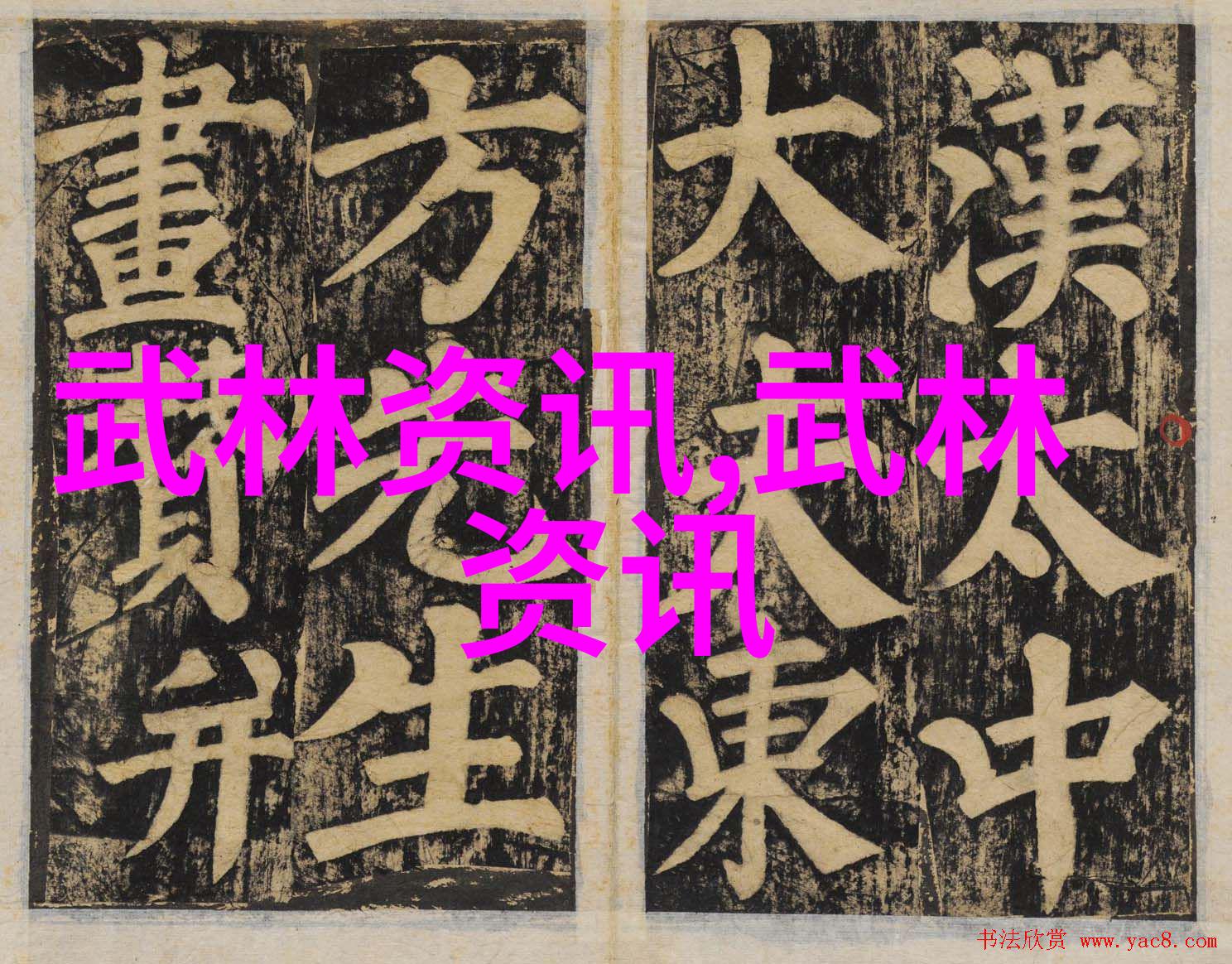 上海精武太极拳操队精武魂摘得龙骏杯全国才艺大赛上海赛区总决赛冠军