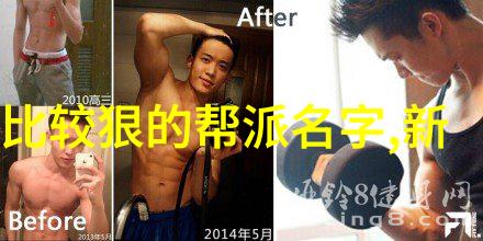 门派拳种过气捶