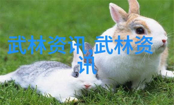 2015上海市中国武术段位制英武功夫馆晋考大会12月5日盛大举行