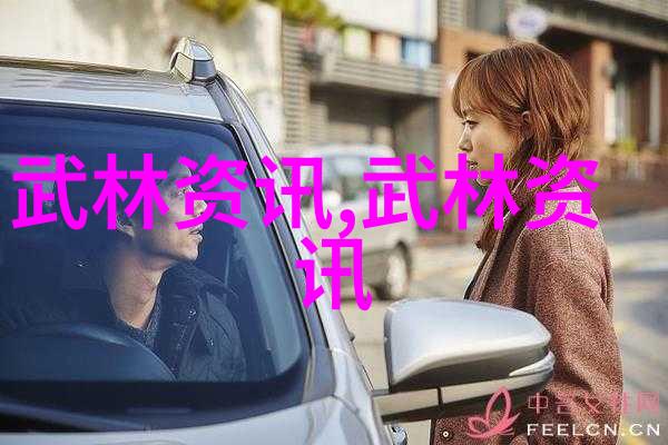 2016年天津市北辰区第三届全运会双街杯武术套路比赛