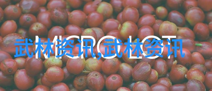 上海市第六届市民龙舟大赛在松江隆重举行