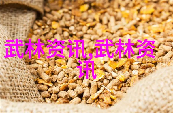 新加坡数学老师勤练八卦掌 向学生传递武术精神