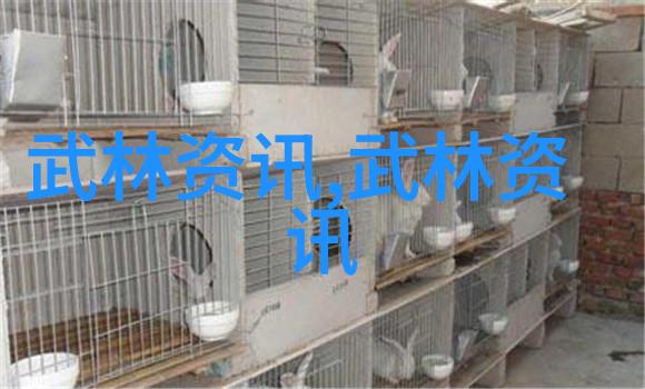 2016年上海市社区体育协会上半年工作通报会召开