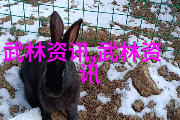 中外搏击对抗赛武汉摆擂 中国散打队两度KO对手